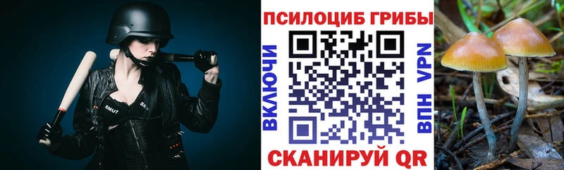 наркошоп  Михайловск  мега ссылки  Галлюциногенные грибы мухоморы 
