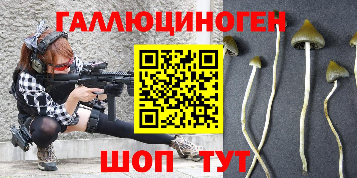 Михайловск  ГАШ  Конопля  Вход с VPN  МЕФ   АМФ кристаллы 