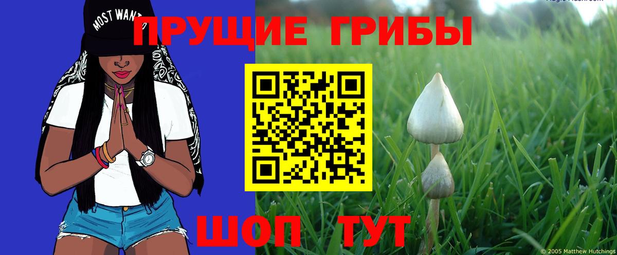 Галлюциногенные грибы прущие грибы Михайловск